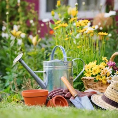 Cuidar tus plantas de jardin